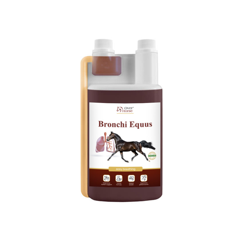 BRONCHI EQUUS 1L