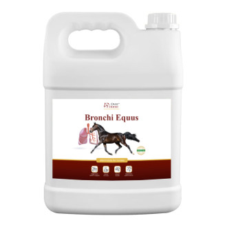 BRONCHI EQUUS 5L