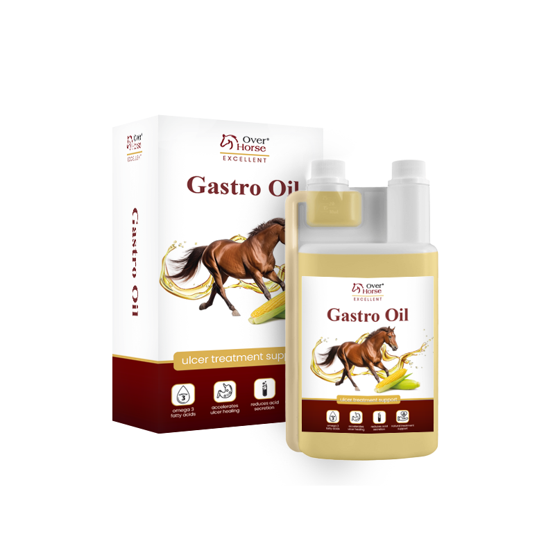 GASTRO OIL 2L