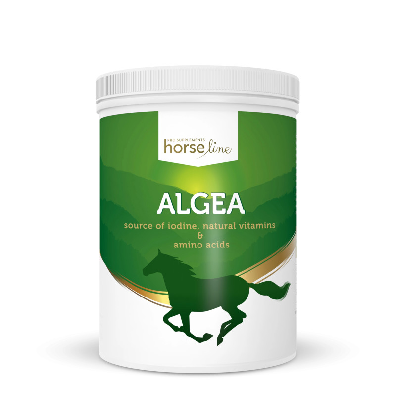 HorseLinePRO Algea 1500g - wspomaganie rozbudowy muskulatury konia