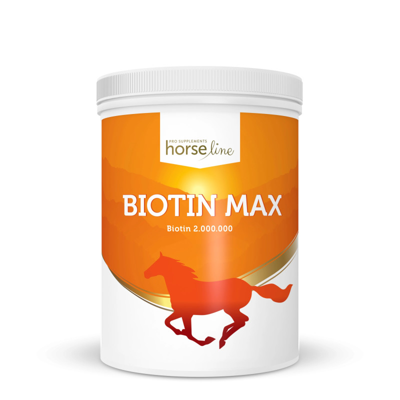 HorseLinePRO BiotinMax 1000g proszek BIOTYNA