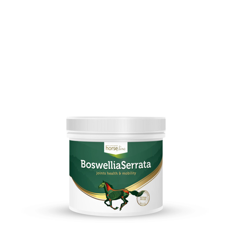 HorseLinePRO BoswelliaSeratta 500g proszek