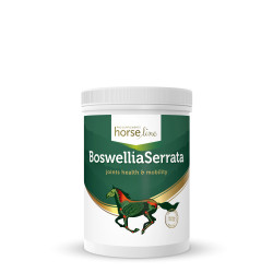 HorseLinePRO BoswelliaSeratta 900g proszek