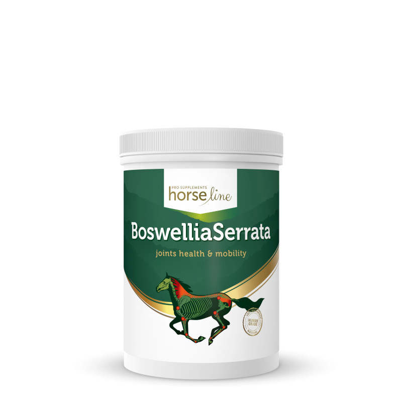 HorseLinePRO BoswelliaSeratta 900g proszek