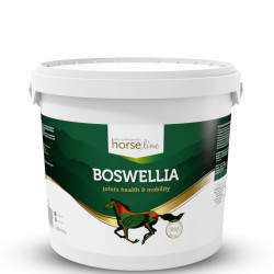 HorseLinePRO BoswelliaSeratta 2000g proszek