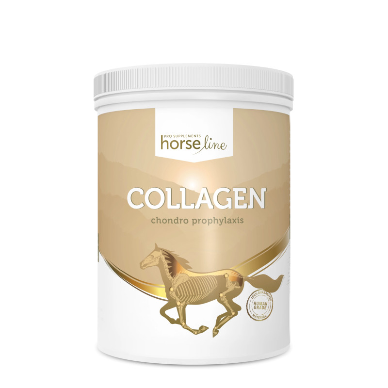 HorseLinePRO Collagen 800g proszek