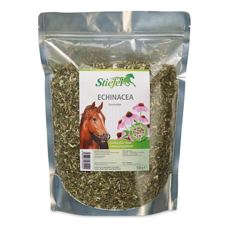 Echinacea Stiefel jeżówka