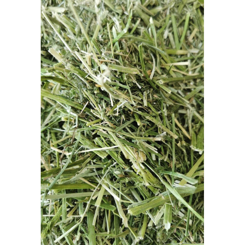Nordic Grass Sieczka z lucerny 15kg - odpylona sieczka z lucerny bez dodatków