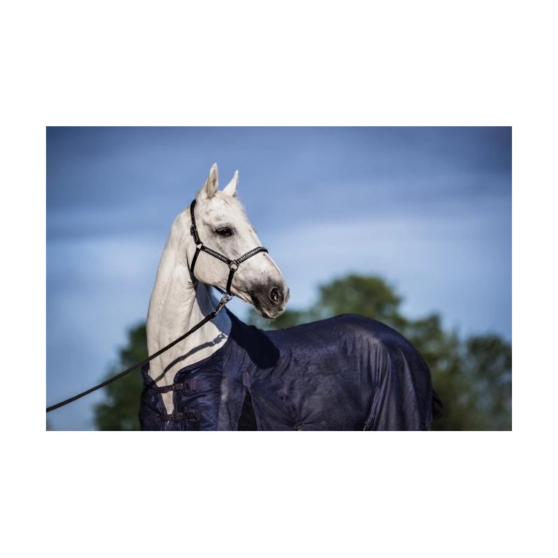 Derka siatkowa START Standard