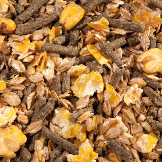 EMH Cool Musli wyciszające musli dla koni nadpobudliwych 20kg