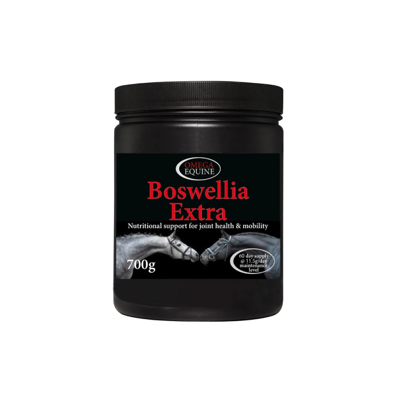 Omega Boswellia Extra - wsparcie układu ruchu 700g